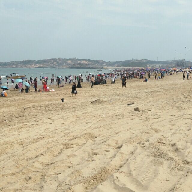 906688 阳光清晨
