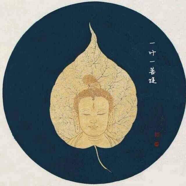 906764 畅游九天