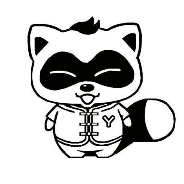 906887 racoon