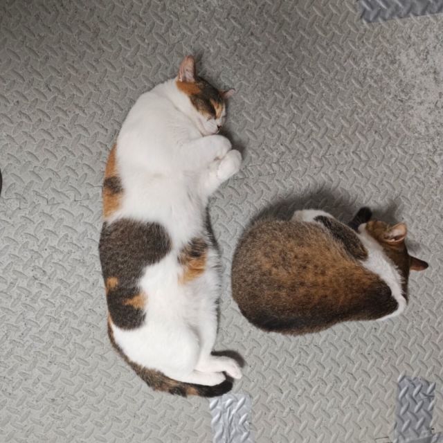 907232 钱³