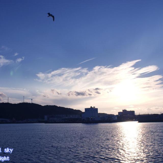 907665 海阔天空