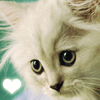 908239 *＊Jack*＊
