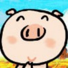 908338  乳猪仔/pig