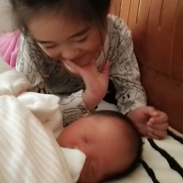 908532 喵喵