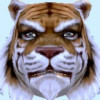 908654 Oo[猫多狸]oO