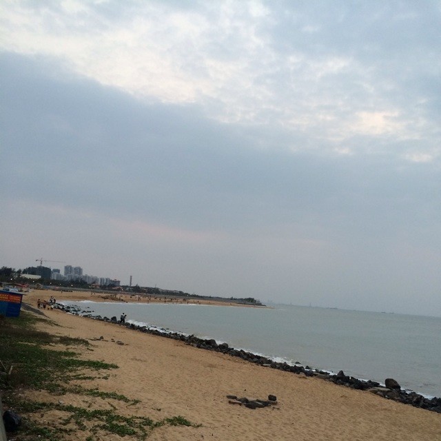 908788 面朝大海