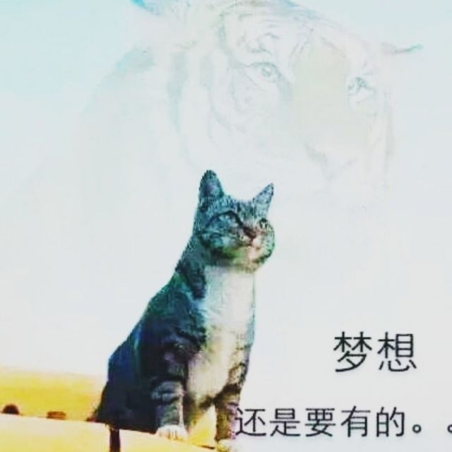 908934 随时脉动回来