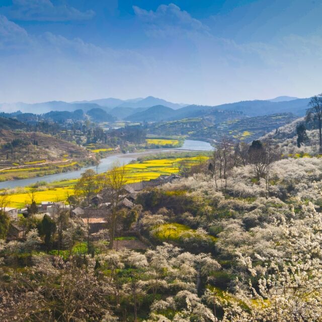 90901 高山流水
