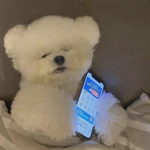 909144 浮生如茶