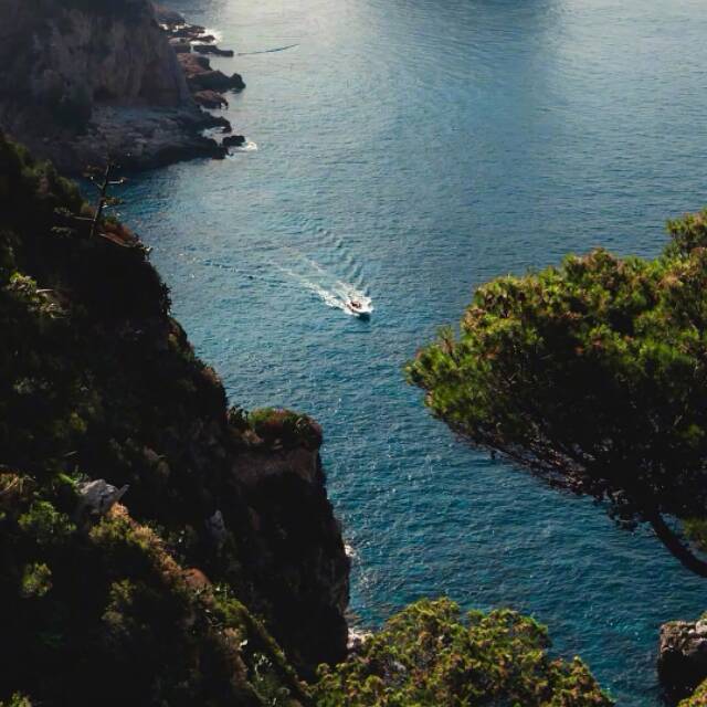 910440 ☀