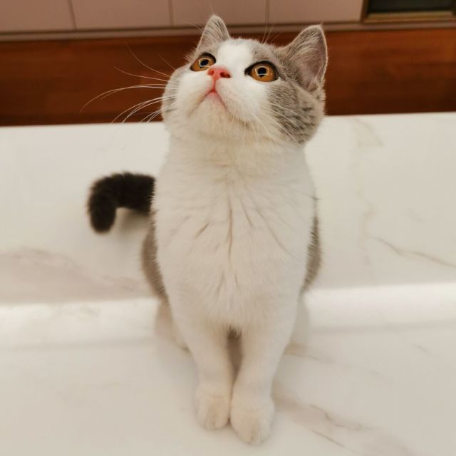 910787 Grace-晓风