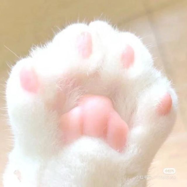 910870 莫西干
