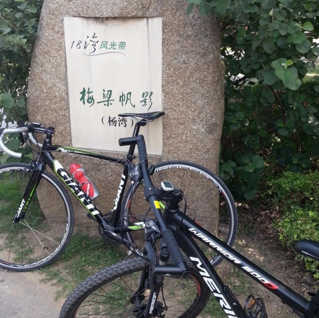 910952 苏里南采购