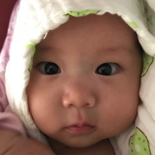 910954 孤芳狐狸