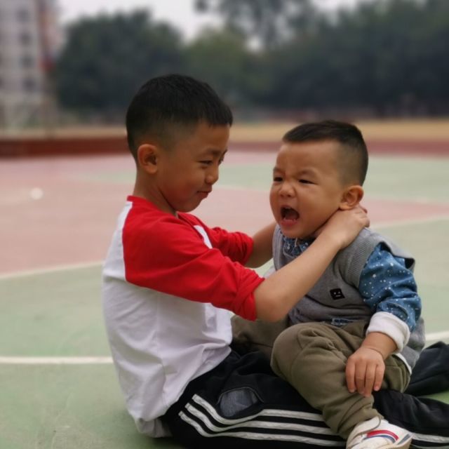 911264 追寻