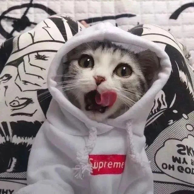 911397 ①個人dē貹活◇﹌.