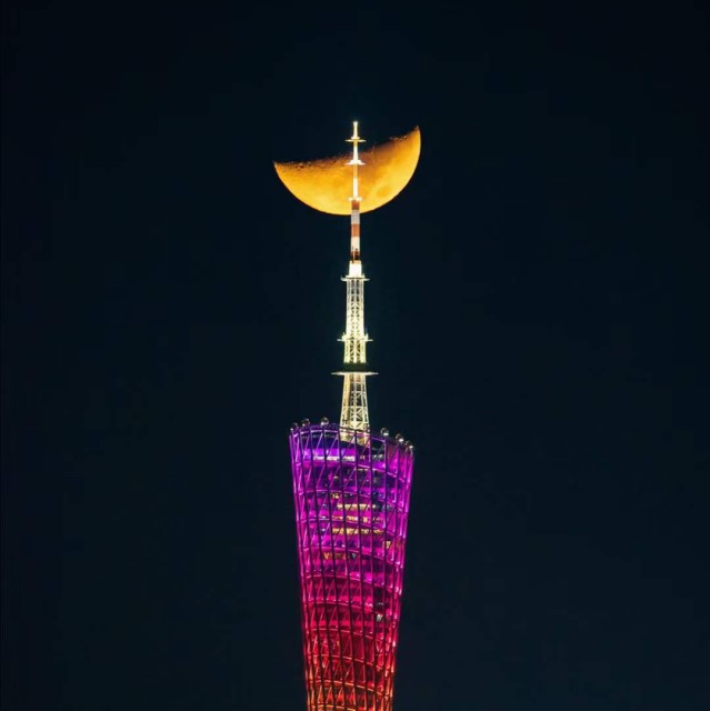 911693 本.拉登
