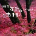 912174 新起点教育