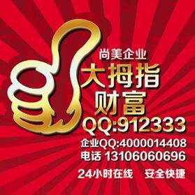 912333 大拇指财富