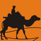 913320 camel