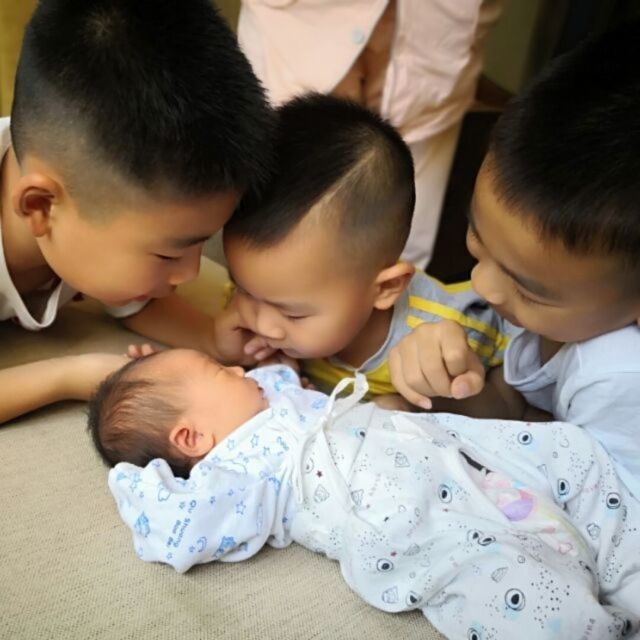 913451 子龙