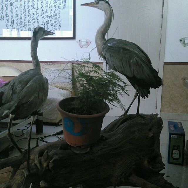 913559 沉默中爆发