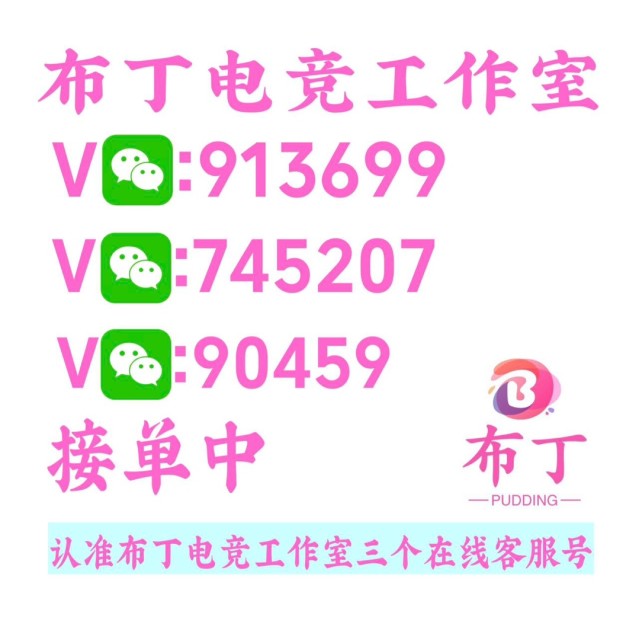 913699 王者荣耀代工作室.