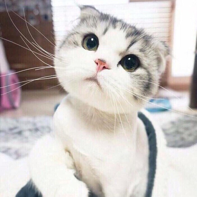913874 自由自在