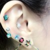 913876 **蒲公英**