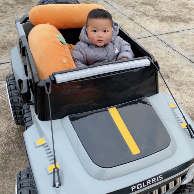 913953 向阳
