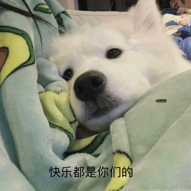 914239 完美