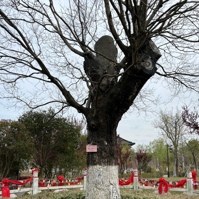 914457 Changchun