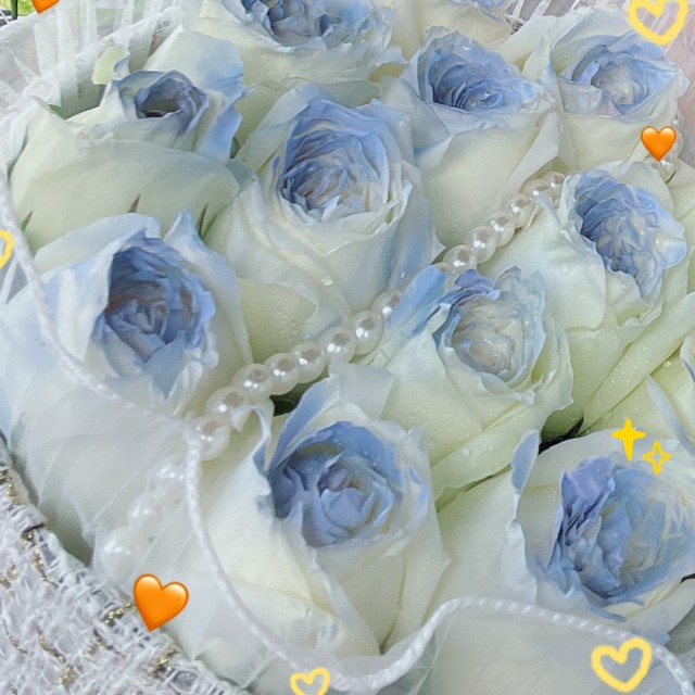 91514 ╰ヤleen乄