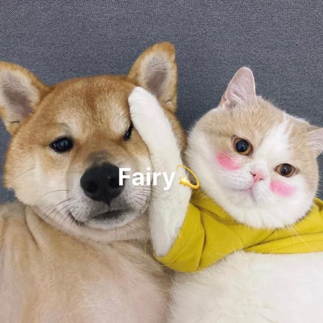 915432 7影制片