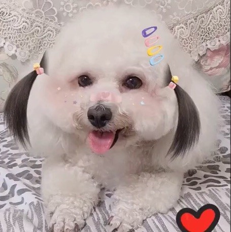 915766 新年快乐，