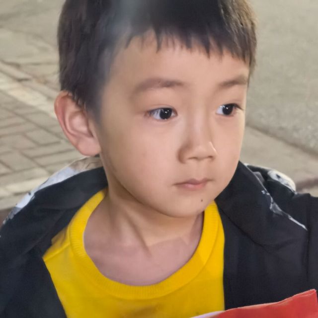 916127 太阳
