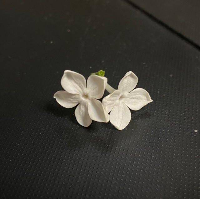 916549 冬