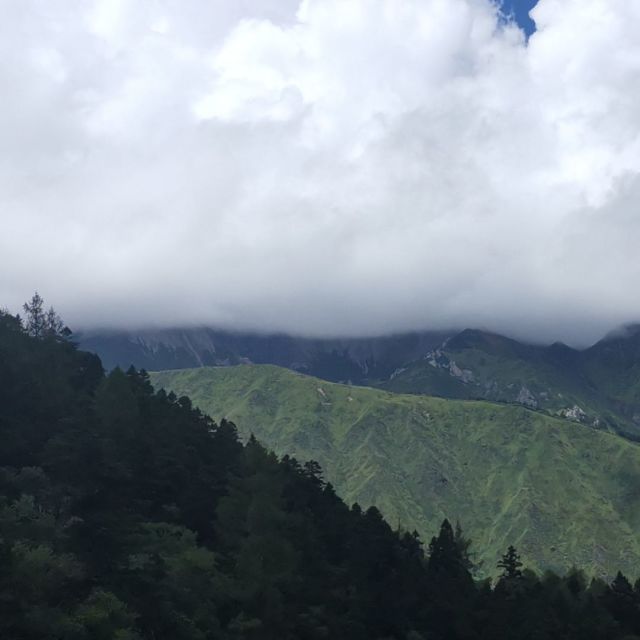 916790 兔子