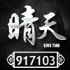 917103 917103