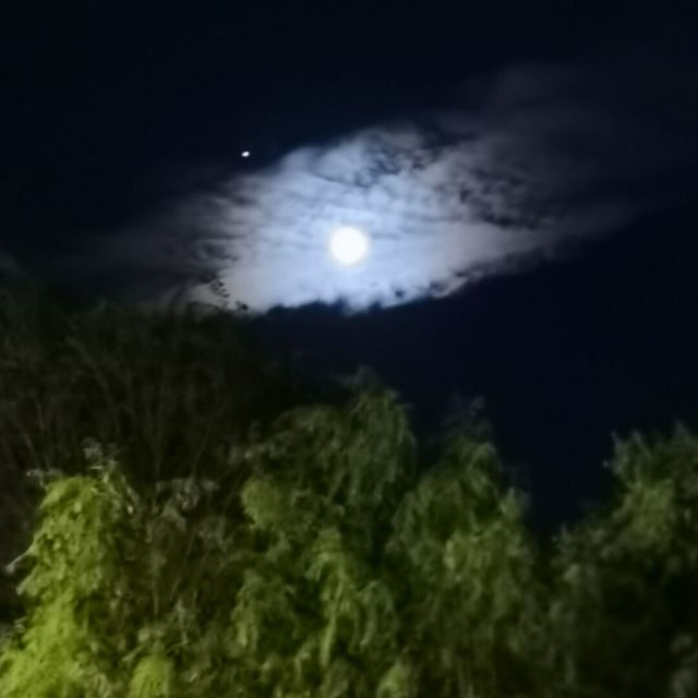 917566 可心