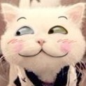917633 猪小色。