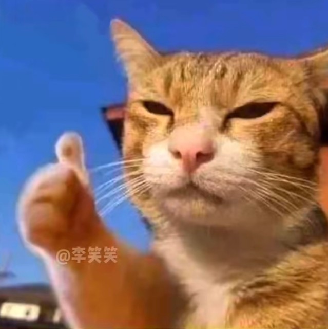 918526 芙蓉映水