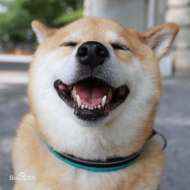 918715 小生意人