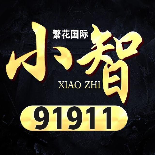 91911 A【三国】 雷锋 