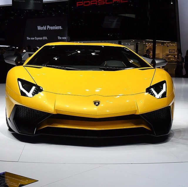 919931 Huanglihong