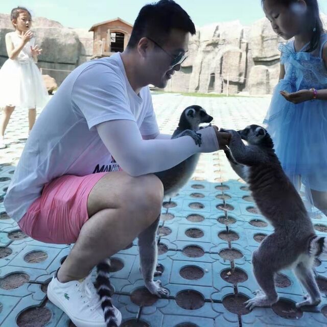 920436 娱乐而已