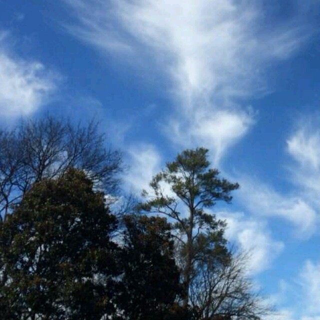 92080 沁泽