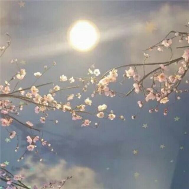 921006 見どころ