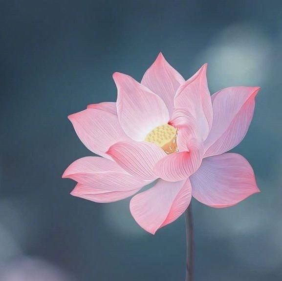 921699 龙君