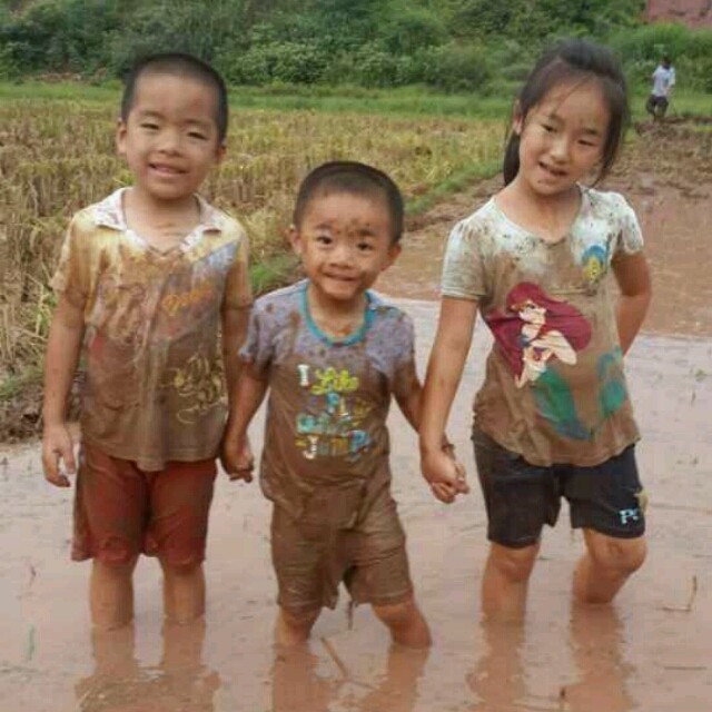 921970 职业农民(鑫)